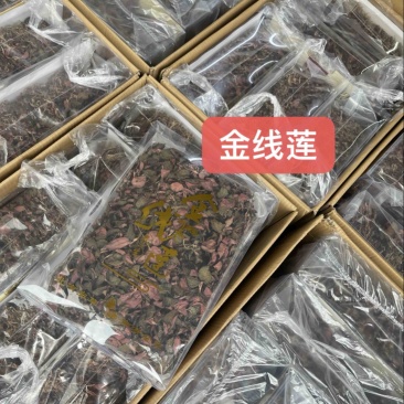 台湾红霞金线莲无碎精品货一斤一包半斤一盒50克一盒价格