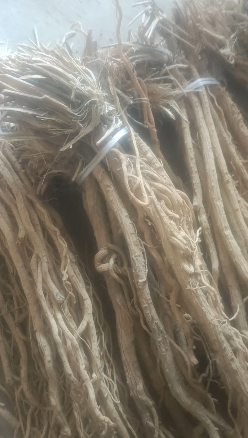 精品防风产地直发甘肃道地药材保真保量欢迎选购
