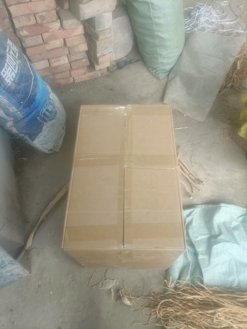 精品防风产地直发甘肃道地药材保真保量欢迎选购