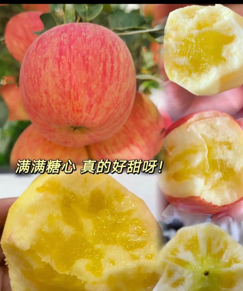 红旗坡阿克苏冰糖心苹果，产地代办。