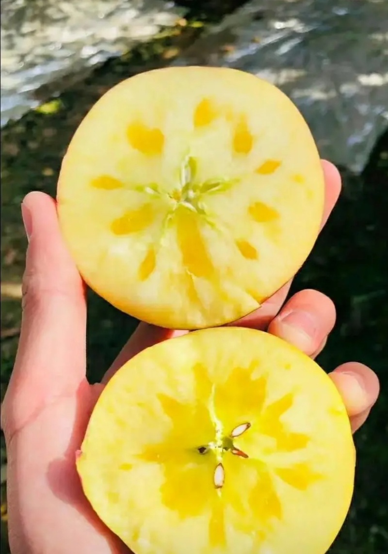 红旗坡阿克苏冰糖心苹果，产地代办。