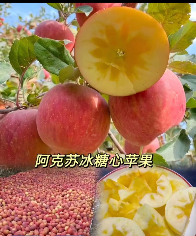 红旗坡阿克苏冰糖心苹果，产地代办。