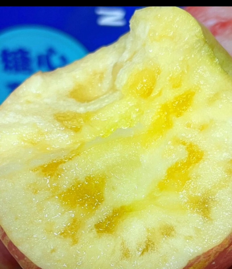 红旗坡阿克苏冰糖心苹果，产地代办。
