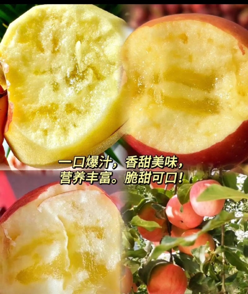红旗坡阿克苏冰糖心苹果，产地代办。