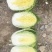 优选黄心白菜大白菜湖北白菜大量供应可视频看货