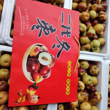 沾化二代冬枣