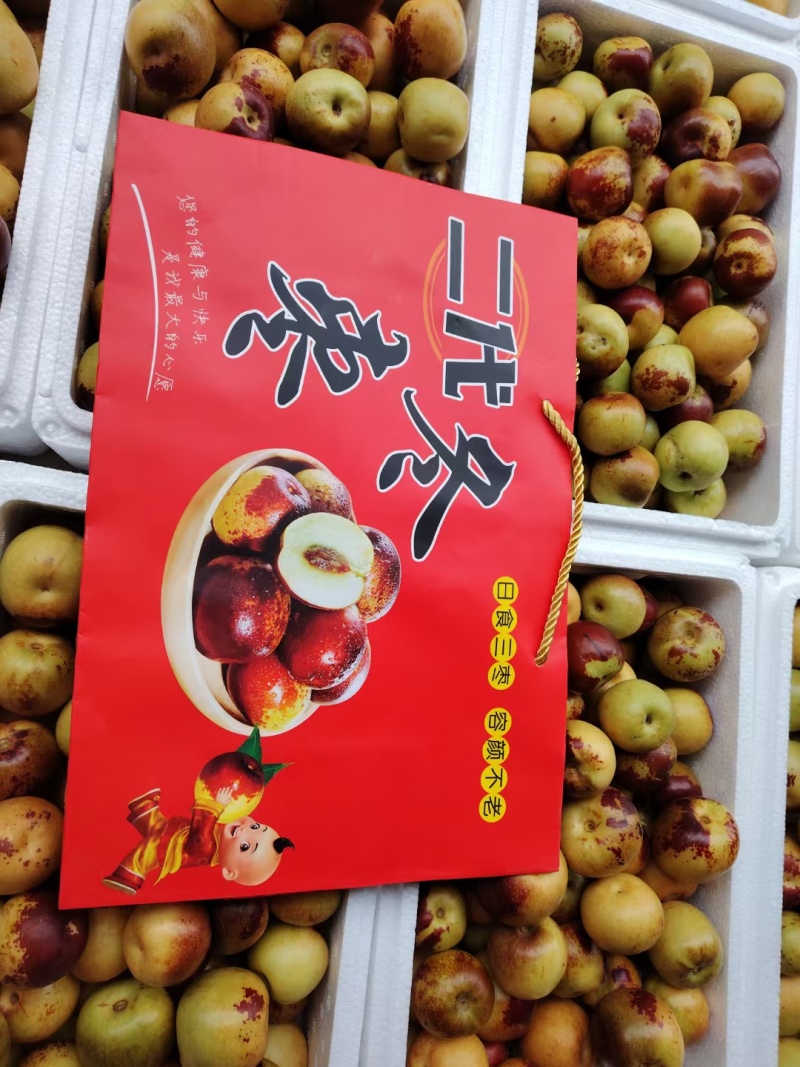 沾化二代冬枣