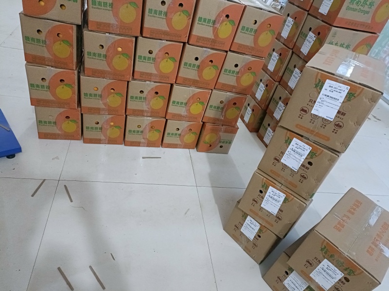 精品正宗赣南脐橙产地发货量大从优质量保证欢迎咨询