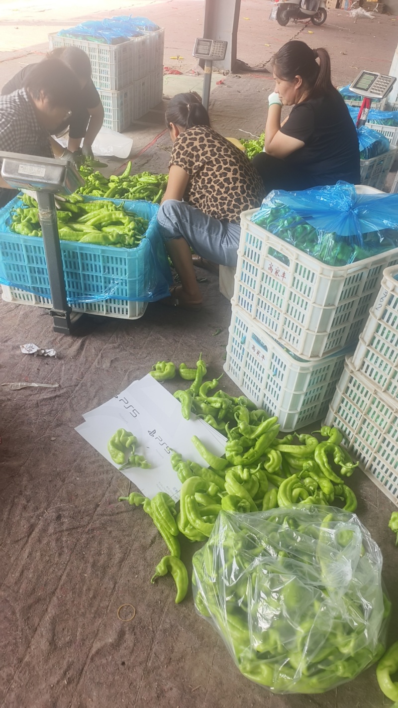 各种椒
