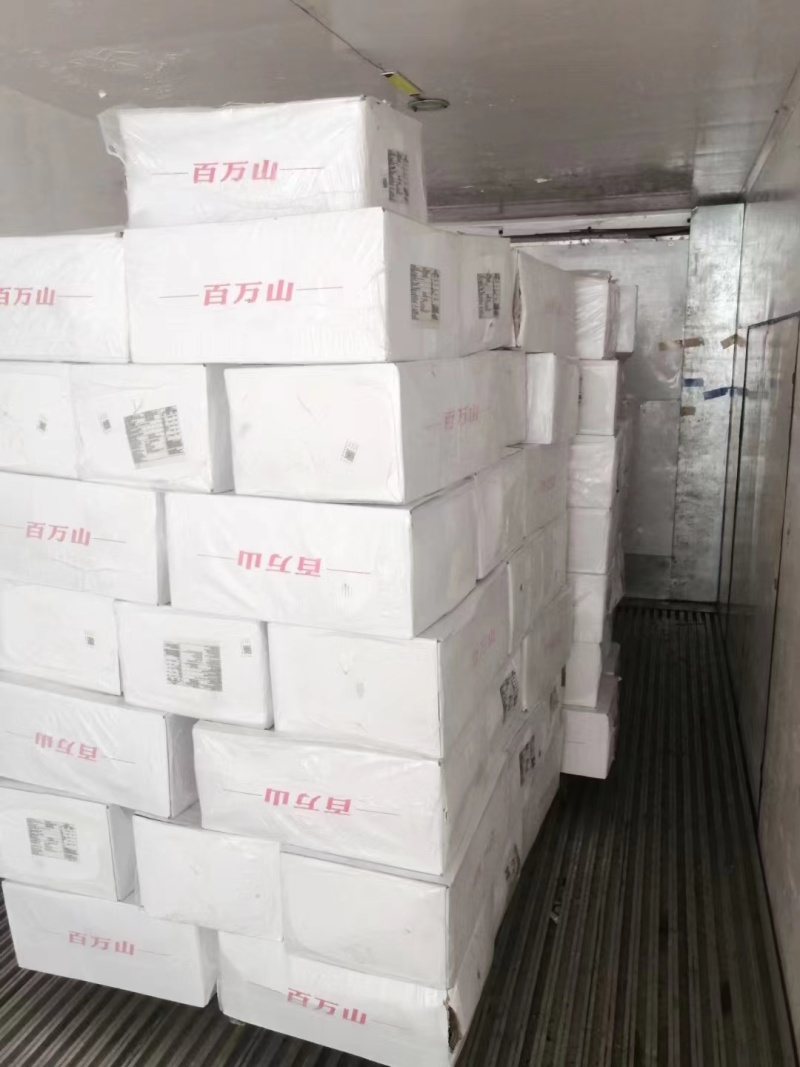 熟羊肉百万山熟羊肉蒙古熟羊肉质量保证全国发货