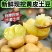 大量供应贵州威宁7号，104等等农副产品。