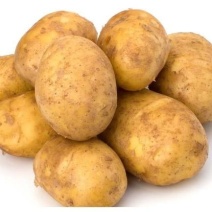 大量出售全国各地黄心土豆，白心土豆，可以送学校食堂等等