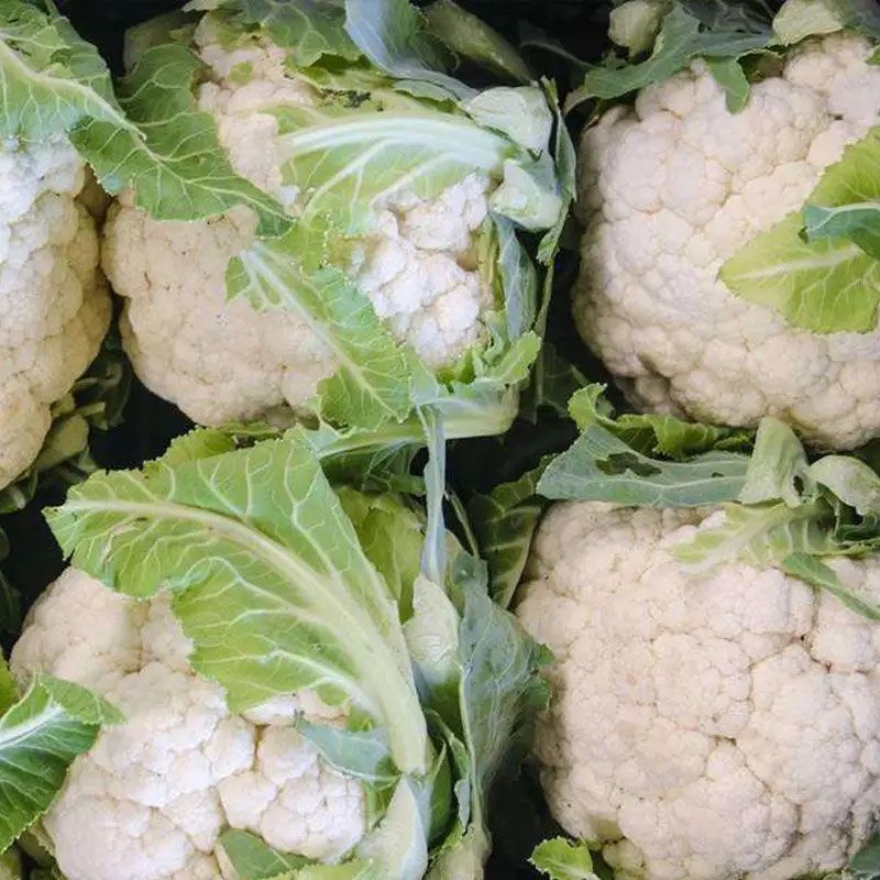 精品菜花花菜松花菜大量供应对接各大市场商超电商