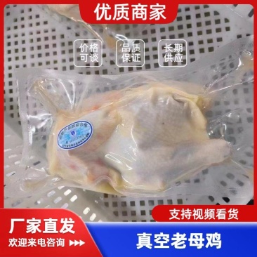 真空老母鸡带蛋黄