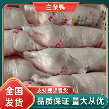 白条鸭10吨，规格齐全，大小都有，