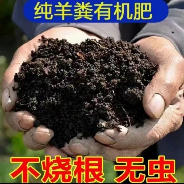 精品羊粪厂家直发品质保证一手货源量大从优欢迎联系