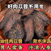阿拉善野生肉苁蓉