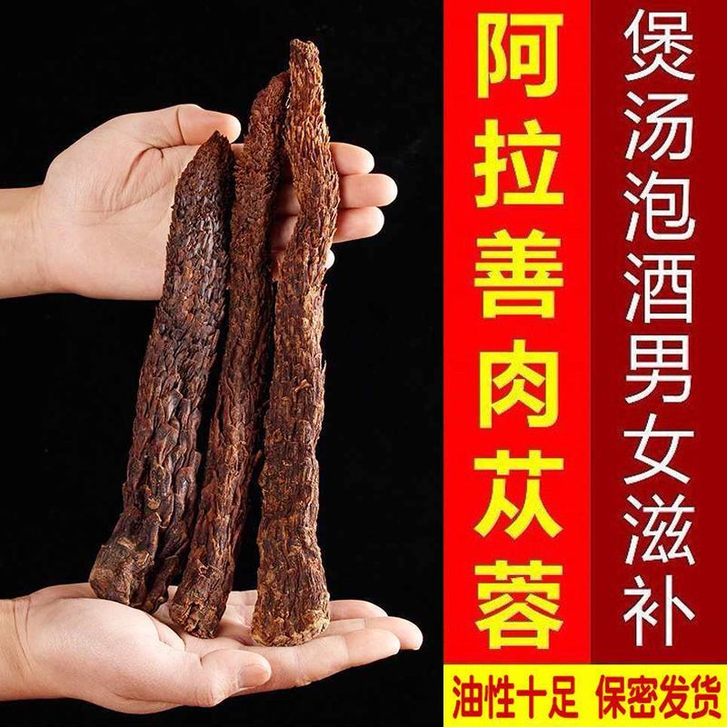 阿拉善野生肉苁蓉