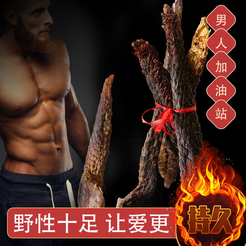 阿拉善野生肉苁蓉