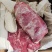 内蒙古鲜牛后腿肉