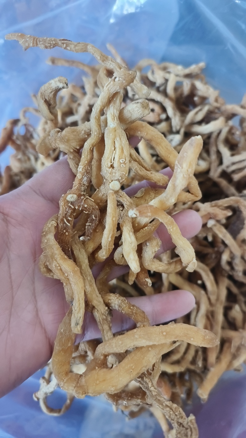 玉竹湖南玉竹个玉竹条长期供应大货现货批发