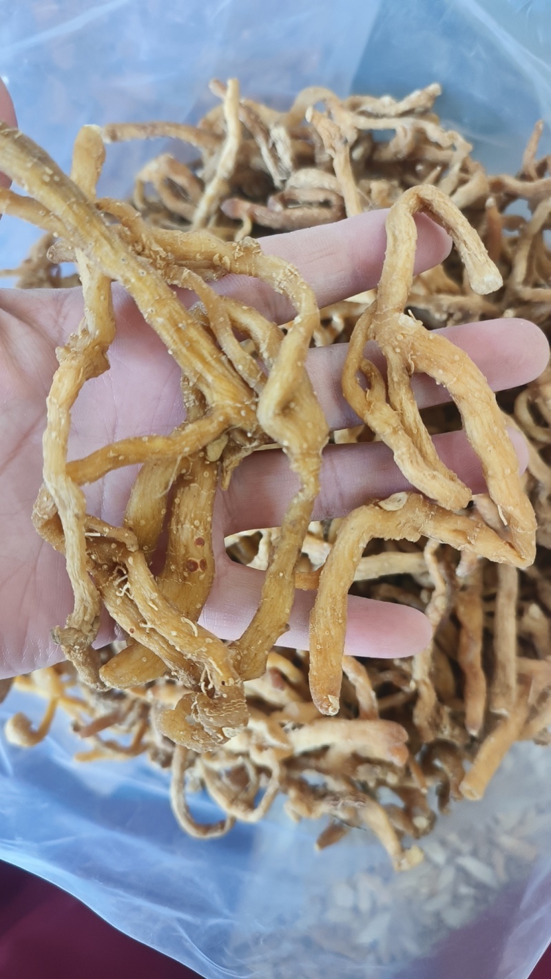 玉竹湖南玉竹个玉竹条长期供应大货现货批发