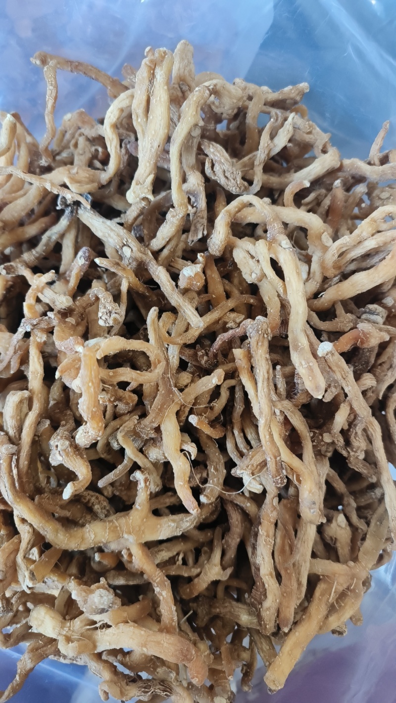 玉竹湖南玉竹个玉竹条长期供应大货现货批发