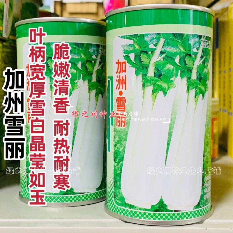 加洲雪丽白芹种子叶柄宽厚雪白晶莹如玉清香白色实心芹种子