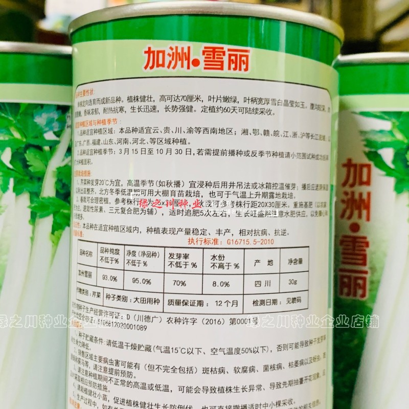 加洲雪丽白芹种子叶柄宽厚雪白晶莹如玉清香白色实心芹种子