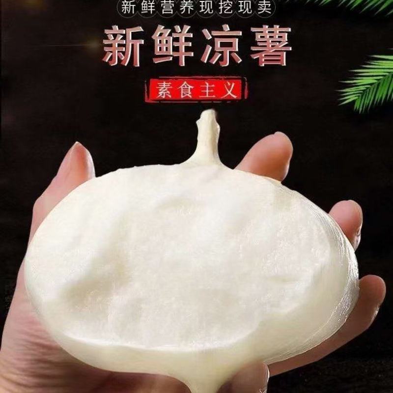 浙江绍兴本地黄泥地瓜