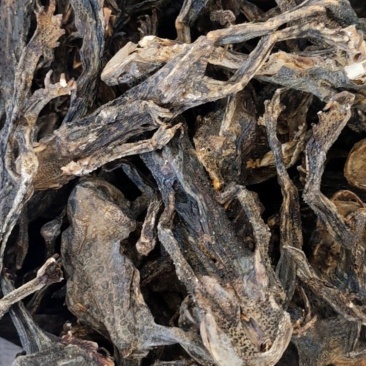 干蟾个干蟾皮干度好去内脏不满意可以退换货
