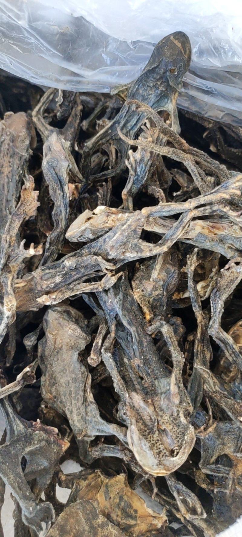干蟾个干蟾皮干度好去内脏不满意可以退换货