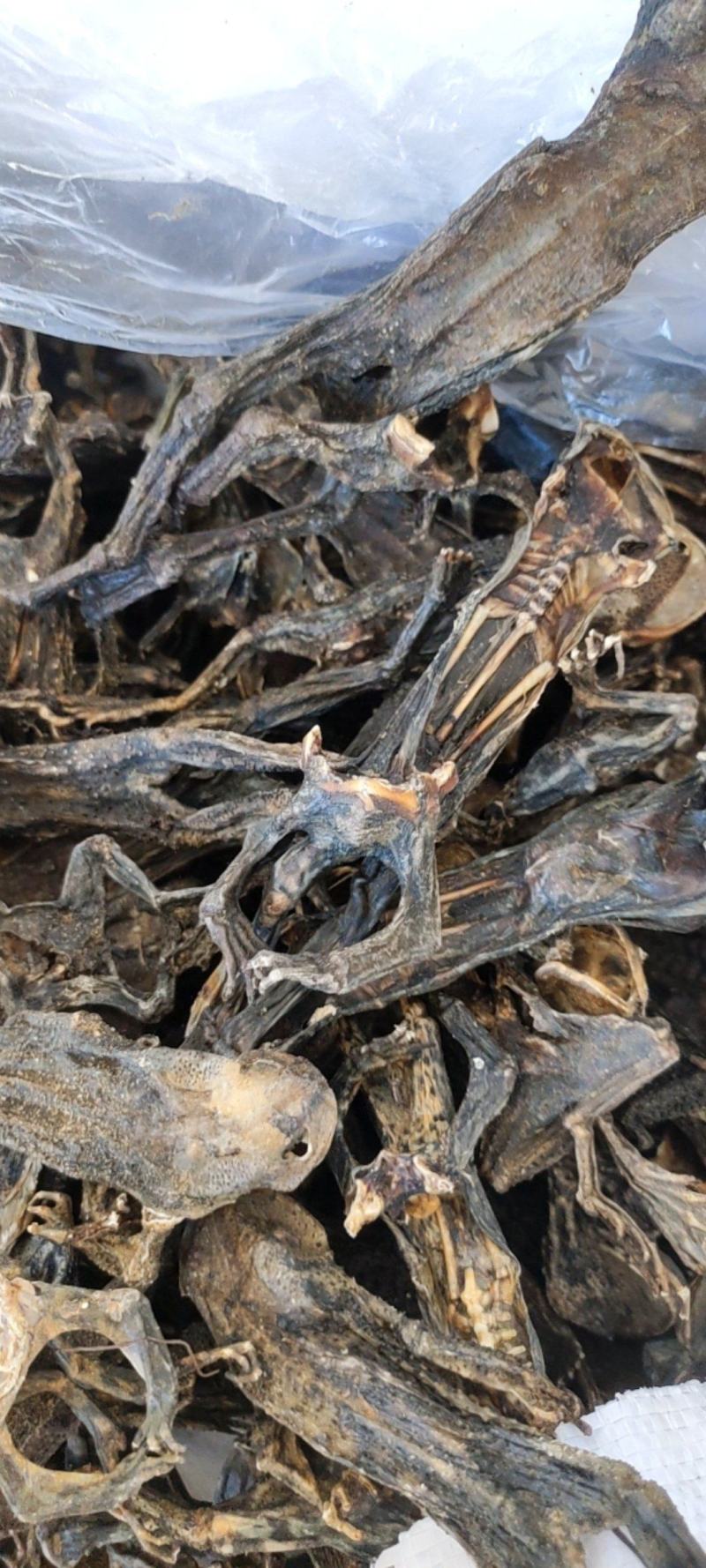 干蟾个干蟾皮干度好去内脏不满意可以退换货