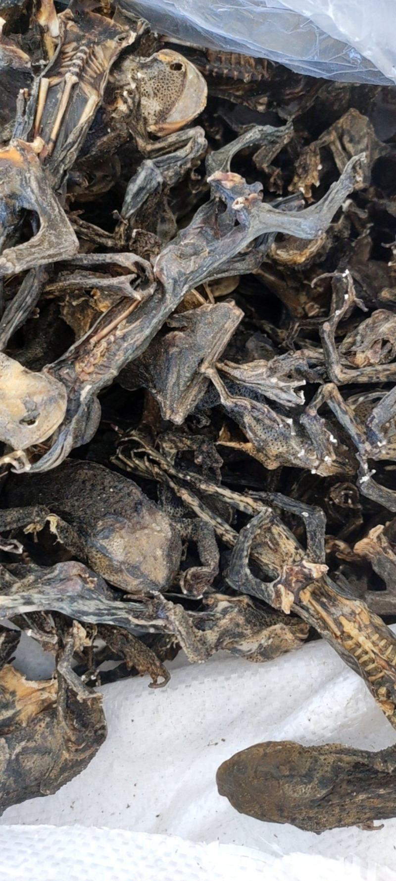 干蟾个干蟾皮干度好去内脏不满意可以退换货