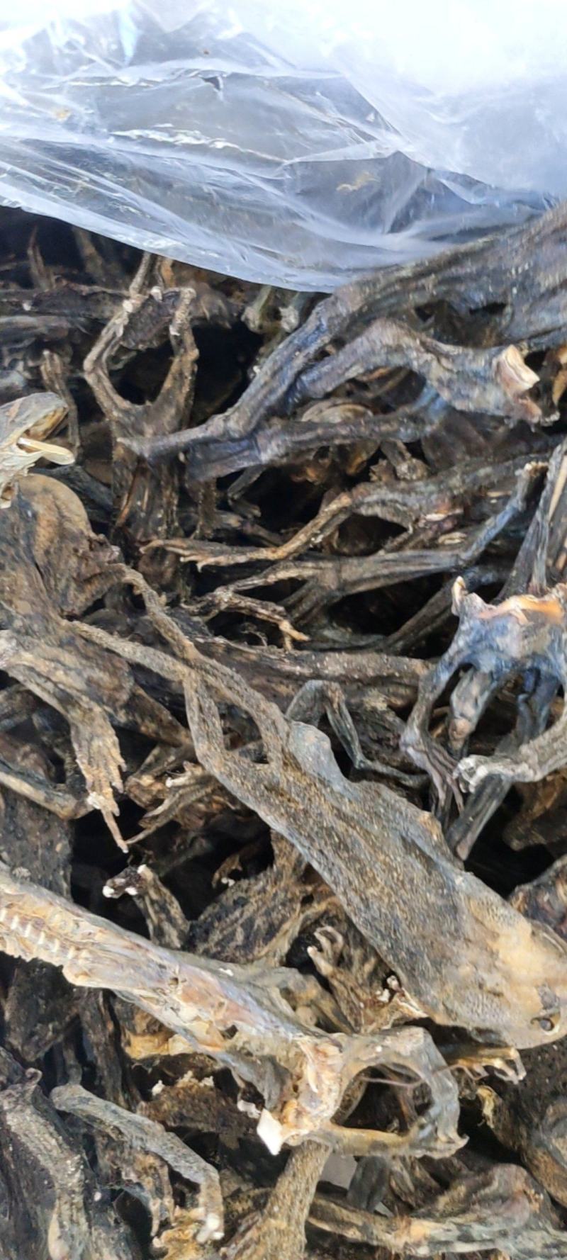 干蟾个干蟾皮干度好去内脏不满意可以退换货