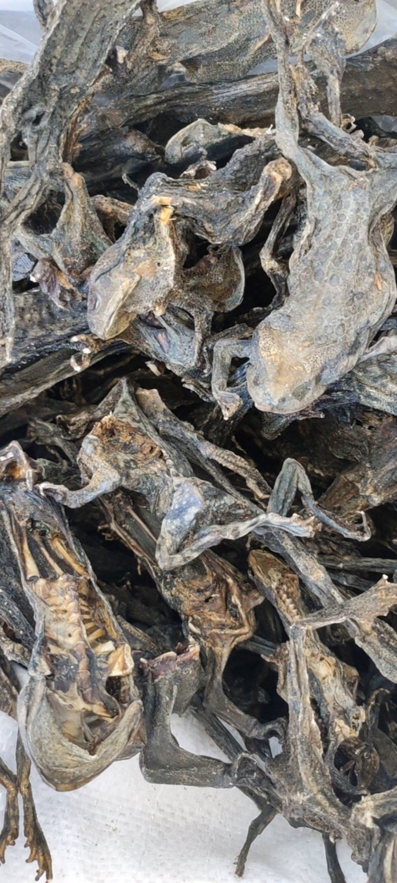 干蟾个干蟾皮干度好去内脏不满意可以退换货