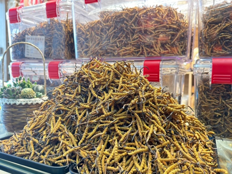 甄选冬虫夏草