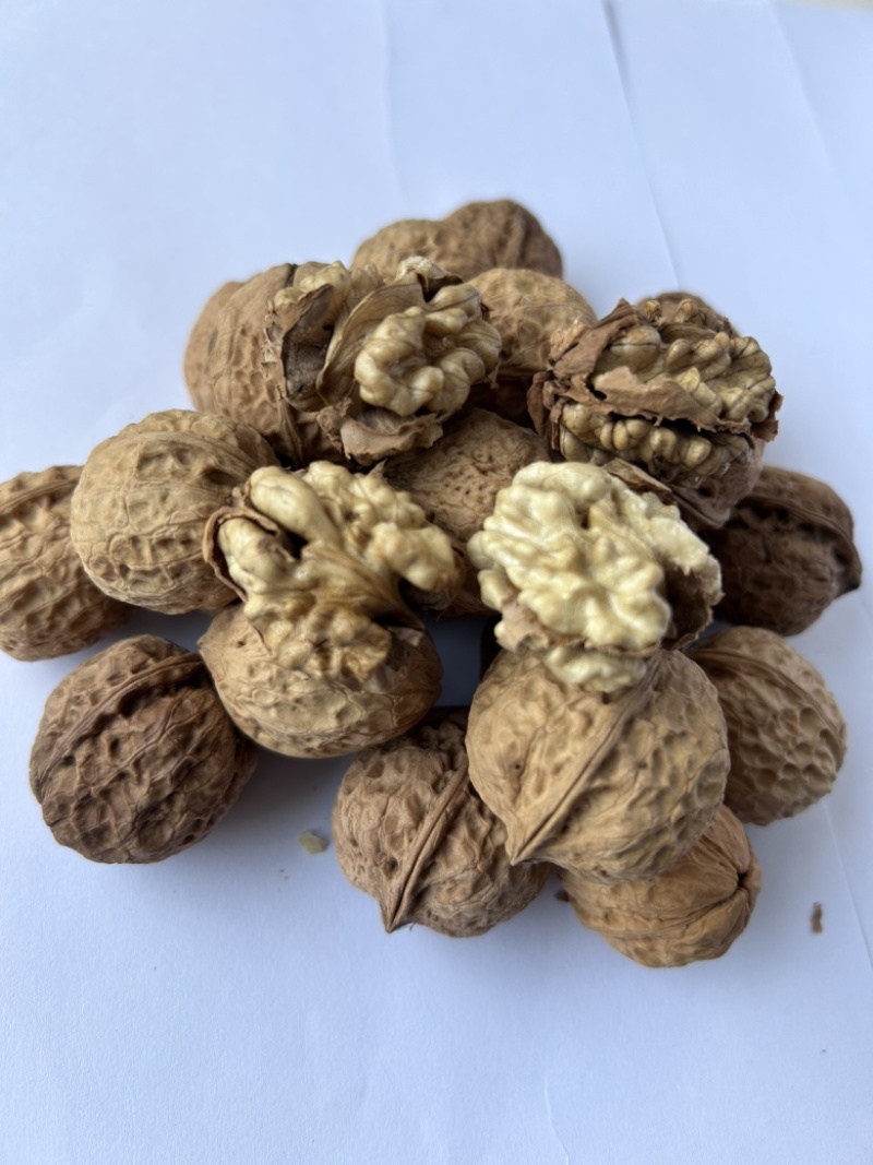 云南薄皮核桃，高海拔老树薄皮核桃，2024年新果