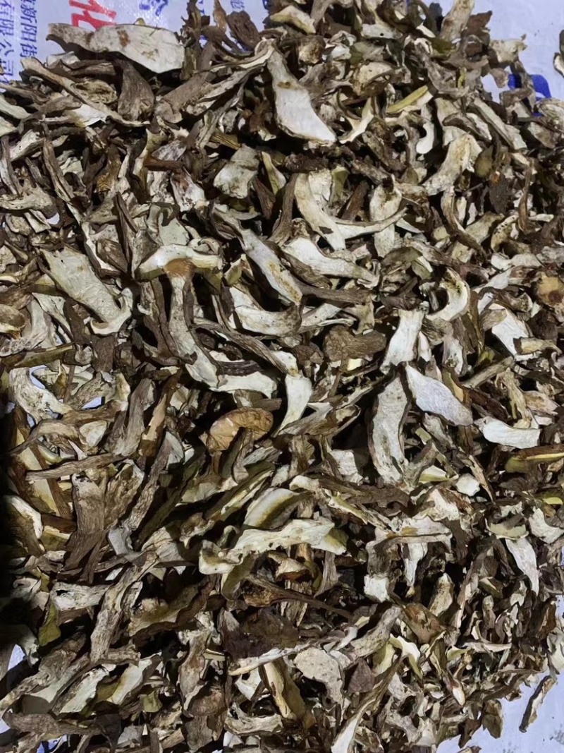 水洗干片美味牛肝菌