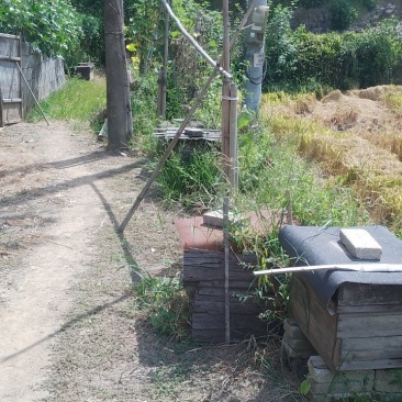 深山纯蜂蜜