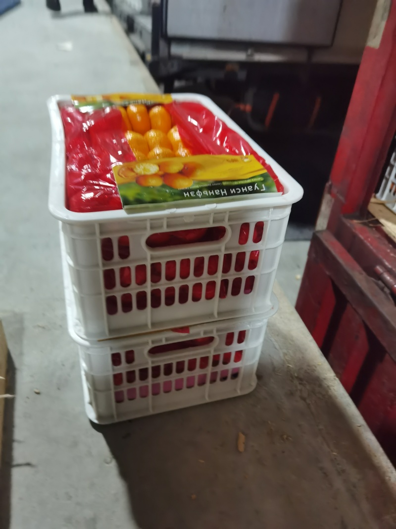 外贸出口请找我专业优质南丰蜜橘，对接出口