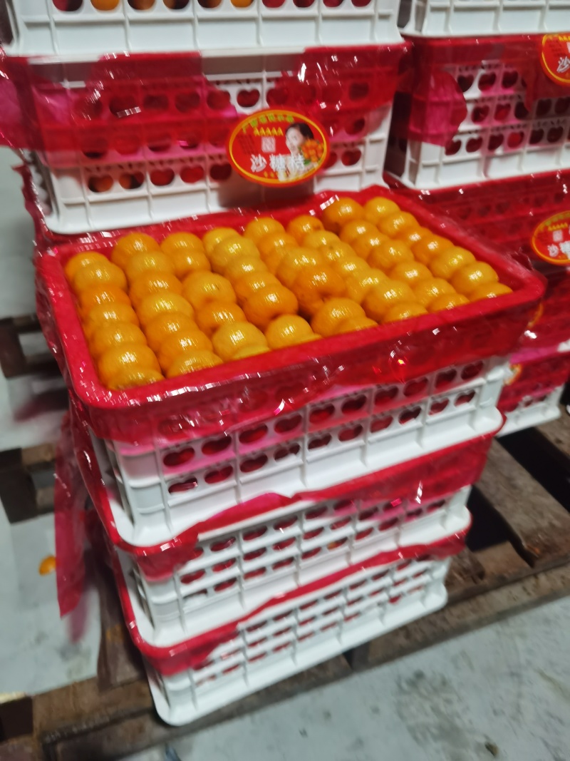 外贸出口请找我专业优质南丰蜜橘，对接出口