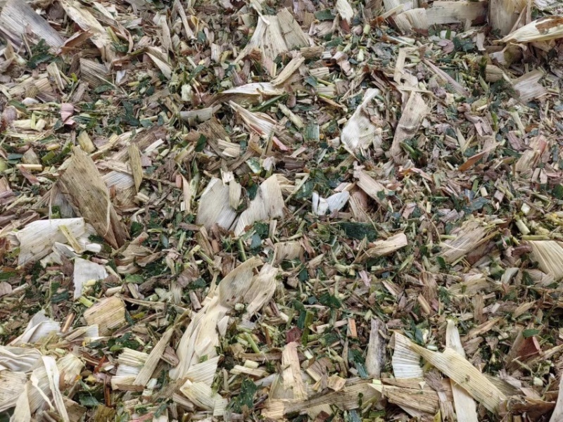 【精品草料】安徽玉米秸秆黄贮草料大量现货供应，诚信发货