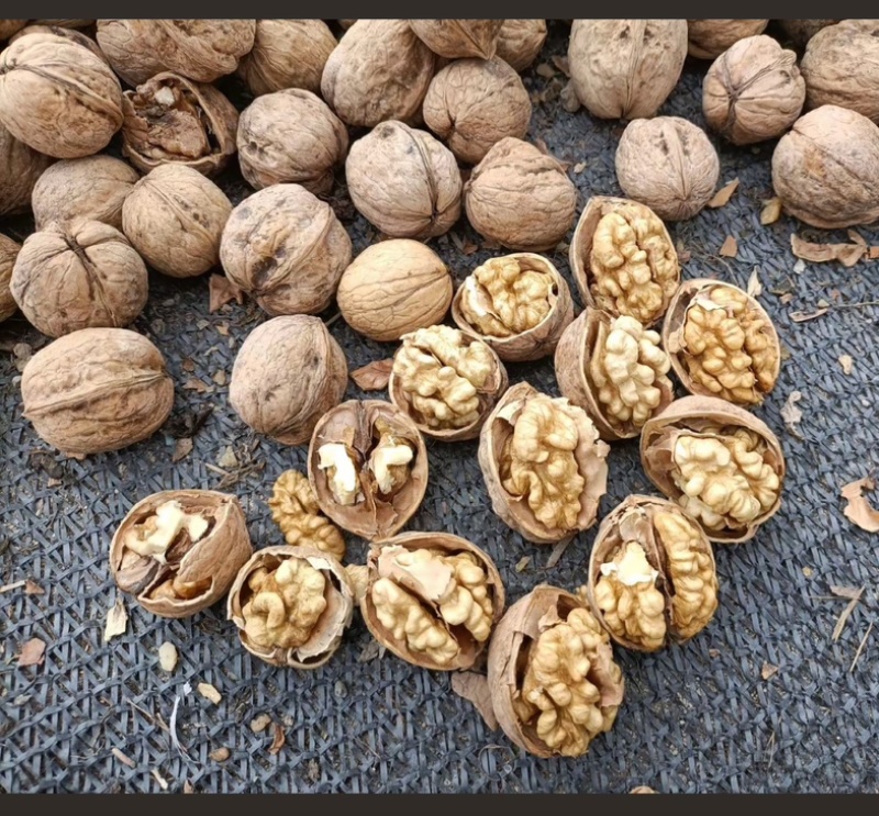 干核桃，纸皮核桃