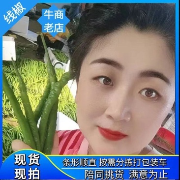 【山东线椒】山东费县精品线椒软皮八号线椒条形顺直货量大