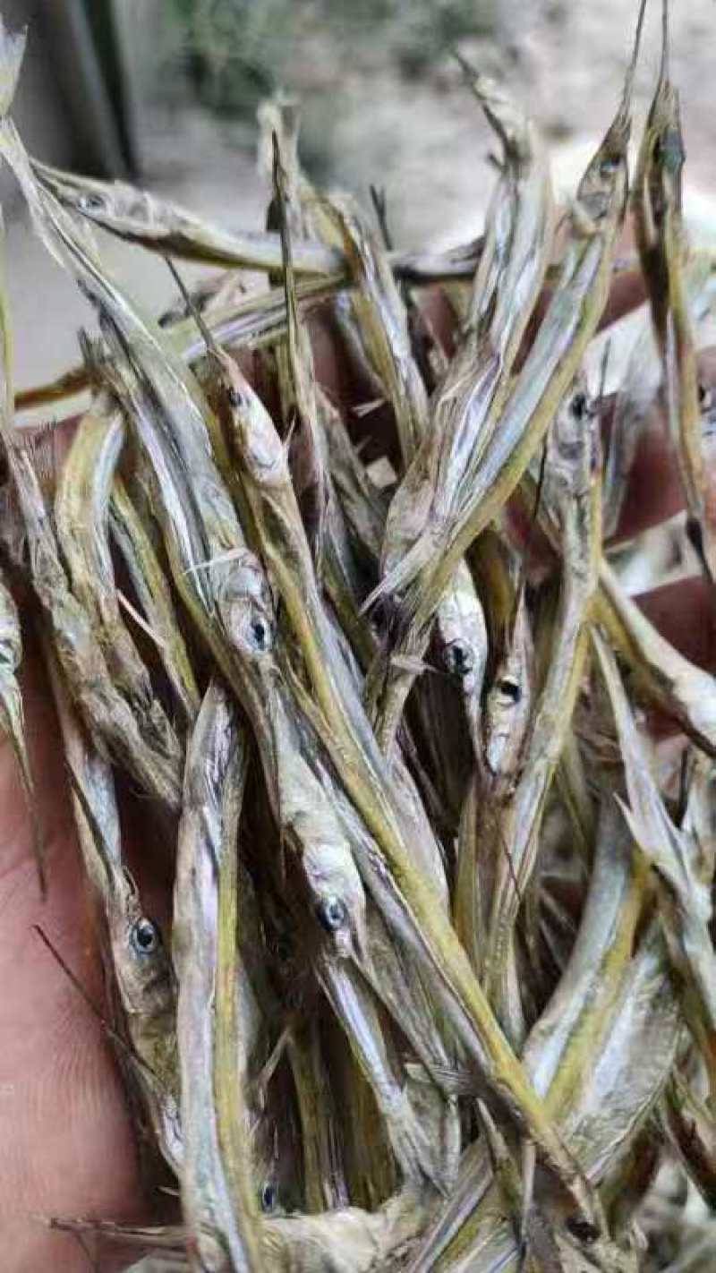 丹江口水庫银针鱼贡鱼尖嘴鱼长嘴针鱼针鱼新鲜