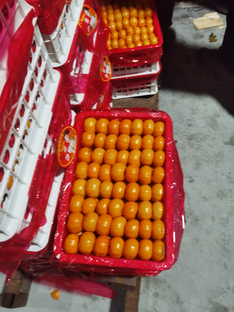广西南丰蜜橘，专业外贸出口，供应链团队优势货源
