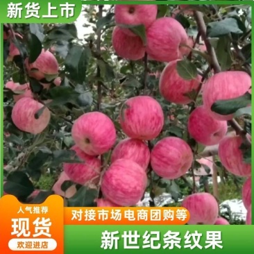 新世纪条纹果产地直发一手货源承接市场批发电，团购一条龙服