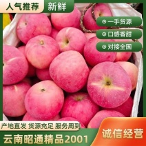 云南昭通精品2001大量承接市场电商产地直发整车代购欢迎