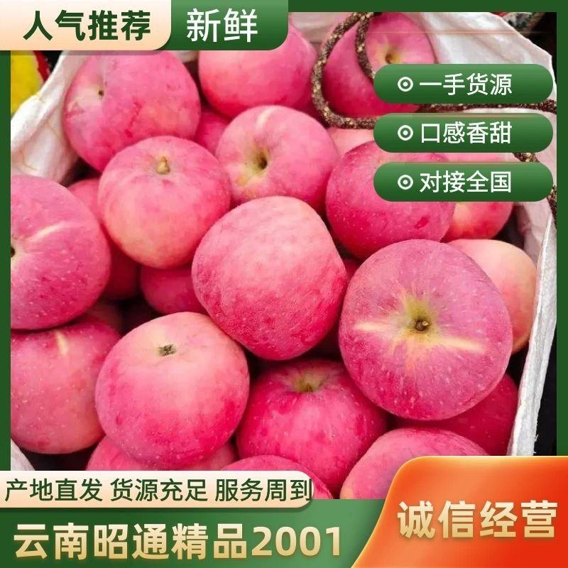 云南昭通精品2001大量承接市场电商产地直发整车代购欢迎